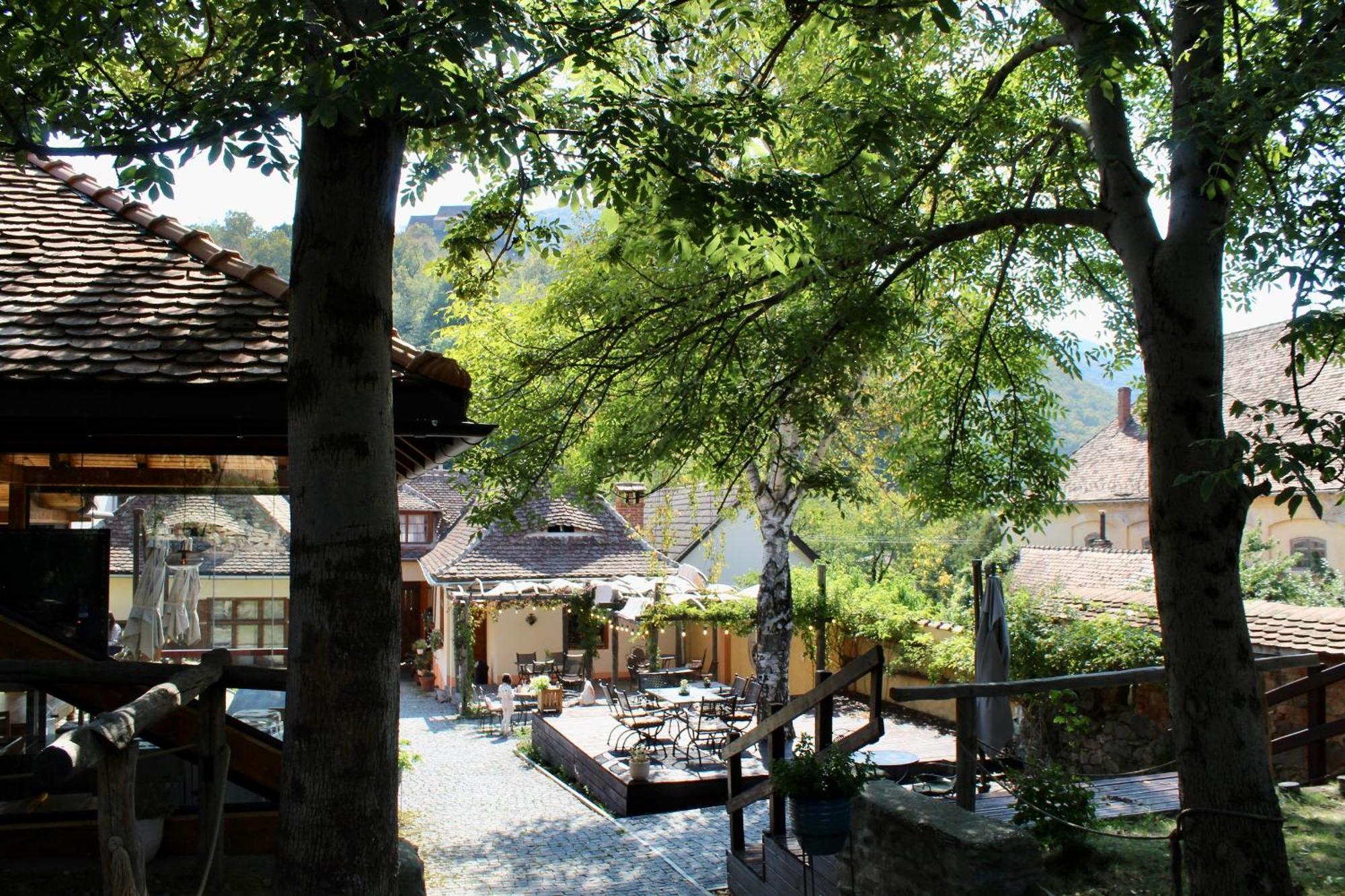Pensiunea Agora Cisnădioara Zewnętrze zdjęcie
